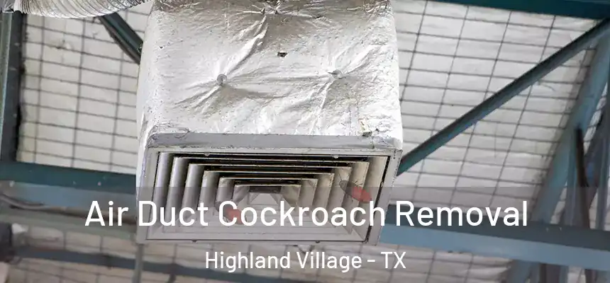 Air Duct Cockroach Removal Highland Village - TX