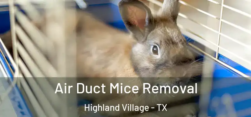 Air Duct Mice Removal Highland Village - TX
