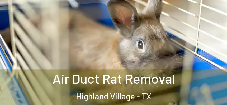  Air Duct Rat Removal Highland Village - TX