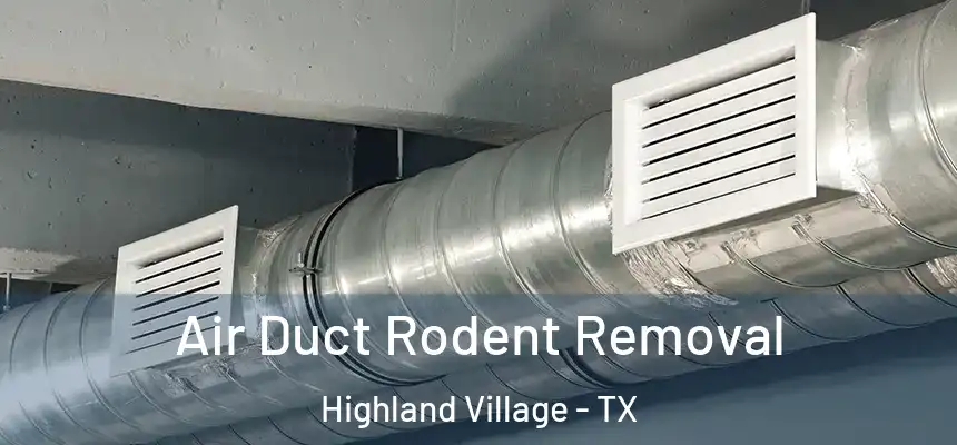 Air Duct Rodent Removal Highland Village - TX