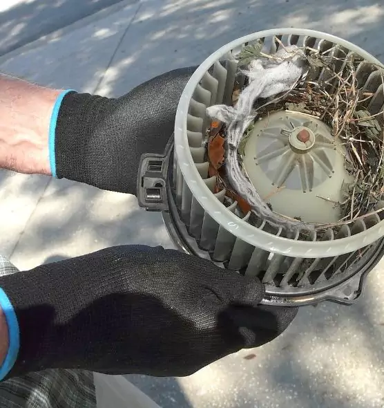 About Air Duct Mice Removal in Highland Village, TX